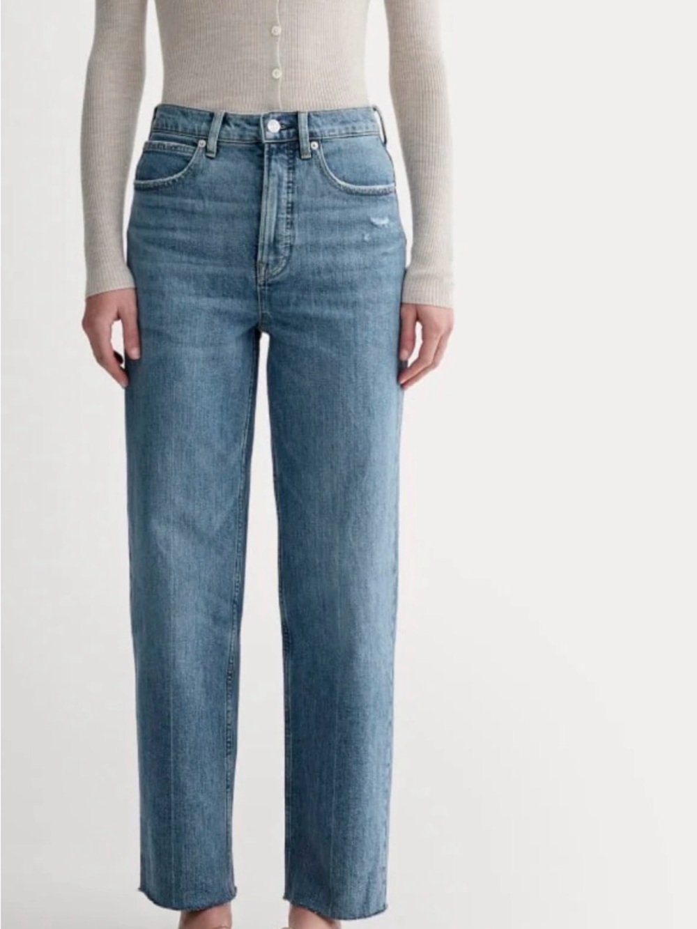 Everlane The Way High Jean Frayed